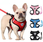 Dog Harness and Leash Set, Step-in Puppy Harness