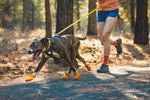 Smart Dog Harness w/ Auto Leash