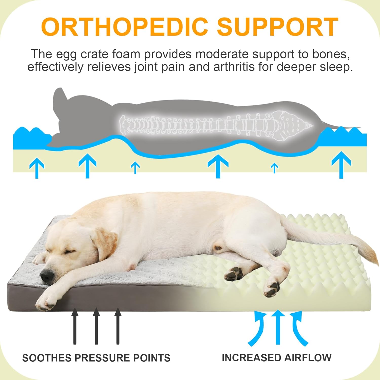 Orthopedic Waterproof Dog Bed